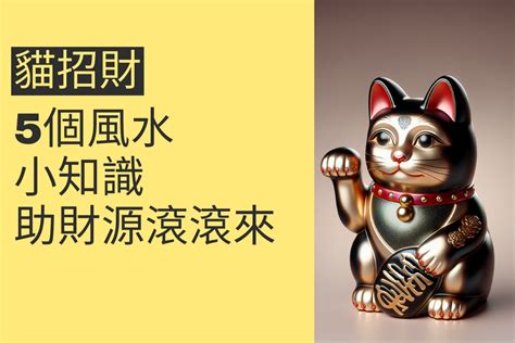 招財物品|【風水佈局入門】招財物品擺放指南，讓你財源滾滾來！